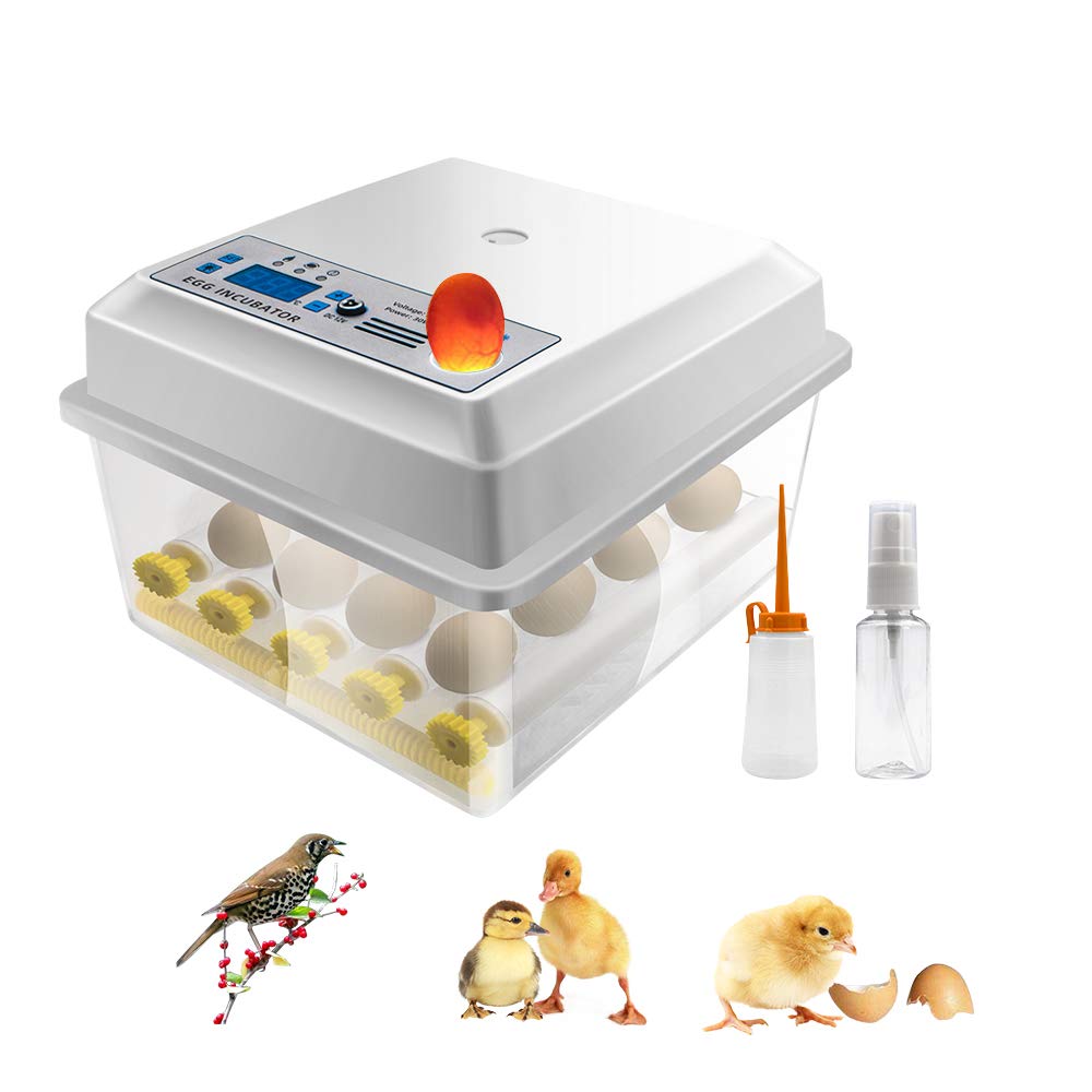Egg Incubator Hatching 16 Eggs with Automatic Turner