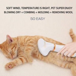 2 in 1 Pet Hair Dryer
