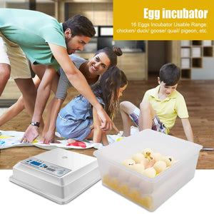 Egg Incubator Hatching 16 Eggs with Automatic Turner