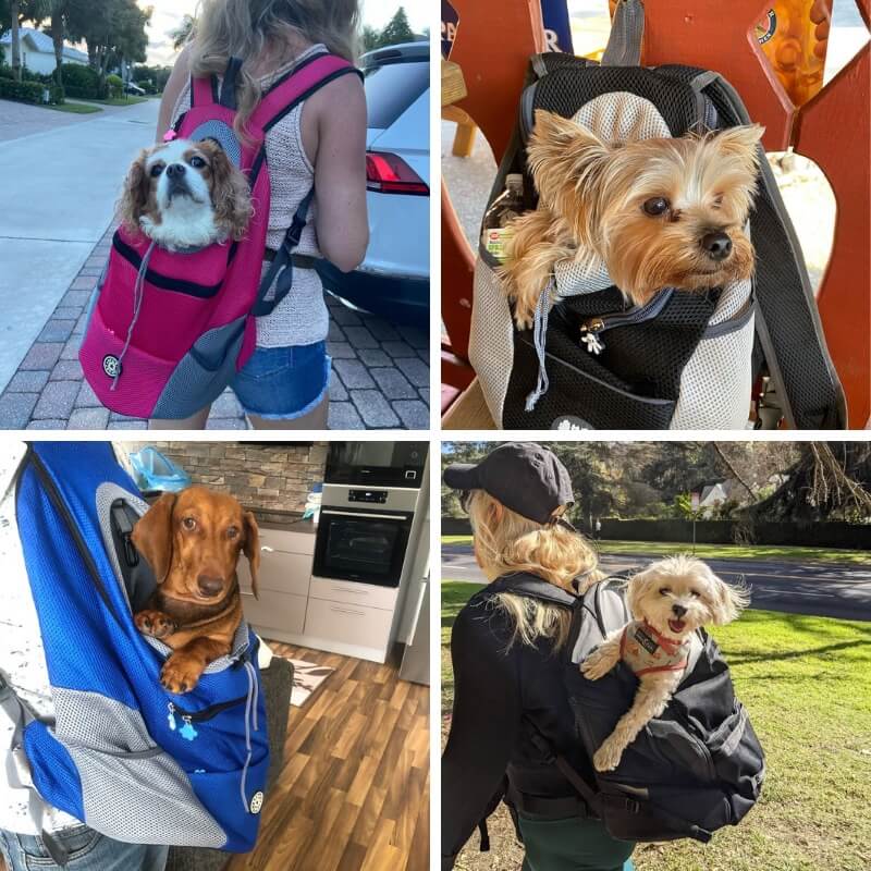 Dog Carrier Backpack & Lifetime Warranty