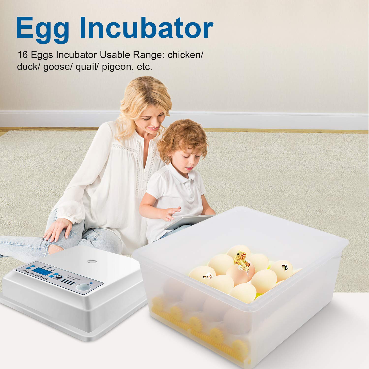 Egg Incubator Hatching 16 Eggs with Automatic Turner