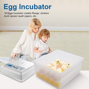 Egg Incubator Hatching 16 Eggs with Automatic Turner