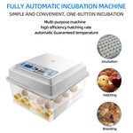 Load image into Gallery viewer, Egg Incubator Hatching 16 Eggs with Automatic Turner
