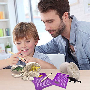 Dinosaur Eggs Dino Eggs Imagination Development Toys