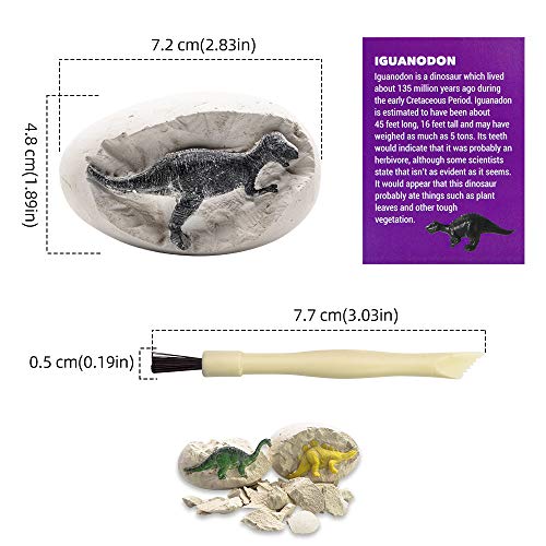 Dinosaur Eggs Dino Eggs Imagination Development Toys