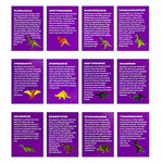 Load image into Gallery viewer, Dinosaur Eggs Dino Eggs Imagination Development Toys
