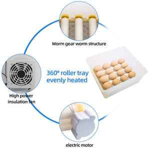 Egg Incubator Hatching 16 Eggs with Automatic Turner